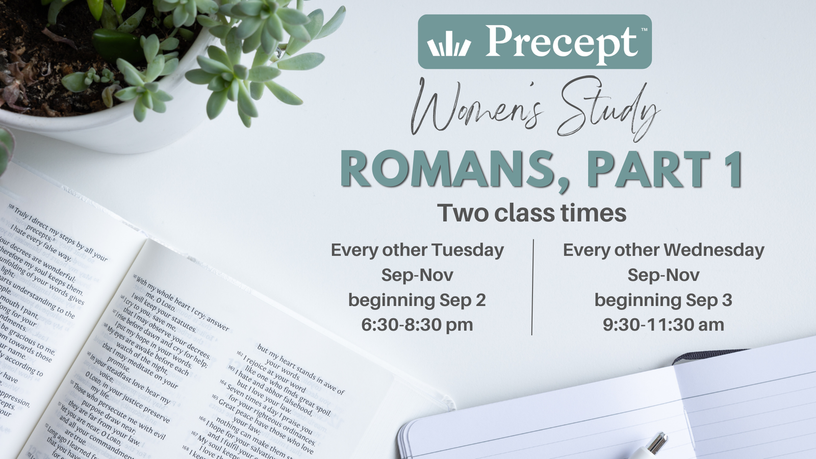 Women's Bible Study