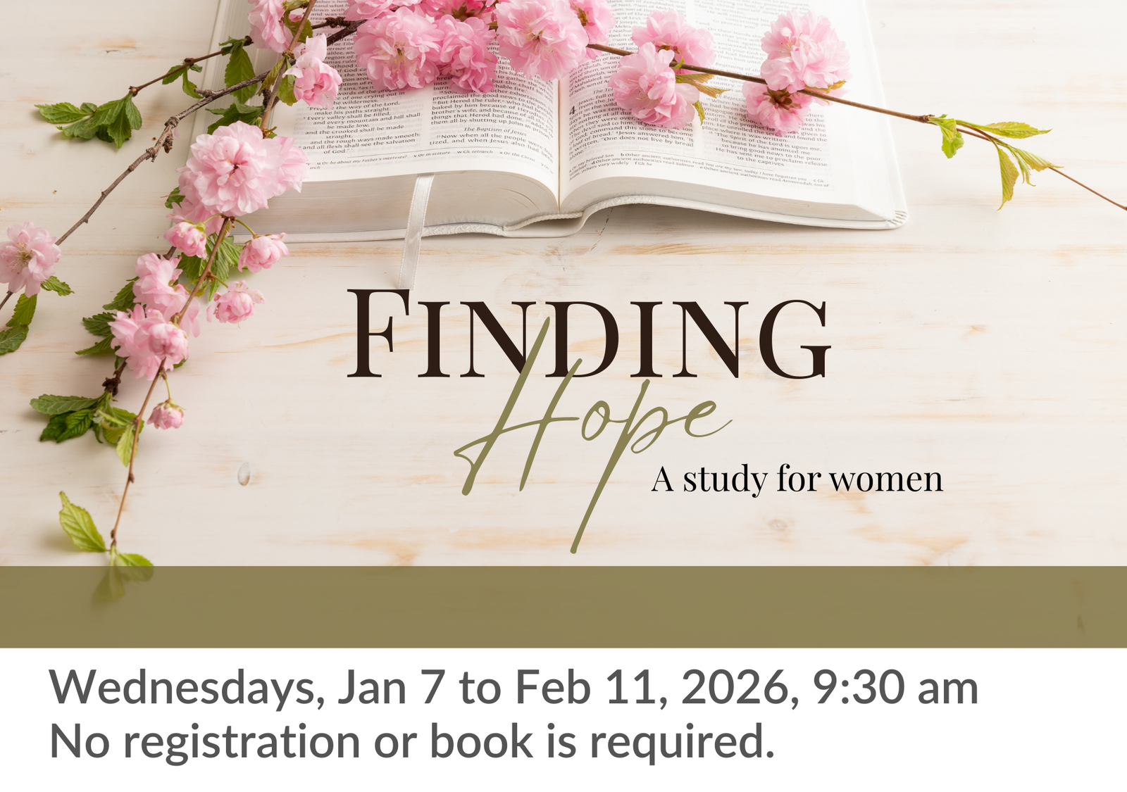 Find Hope - Web Graphic Women's Bible Study