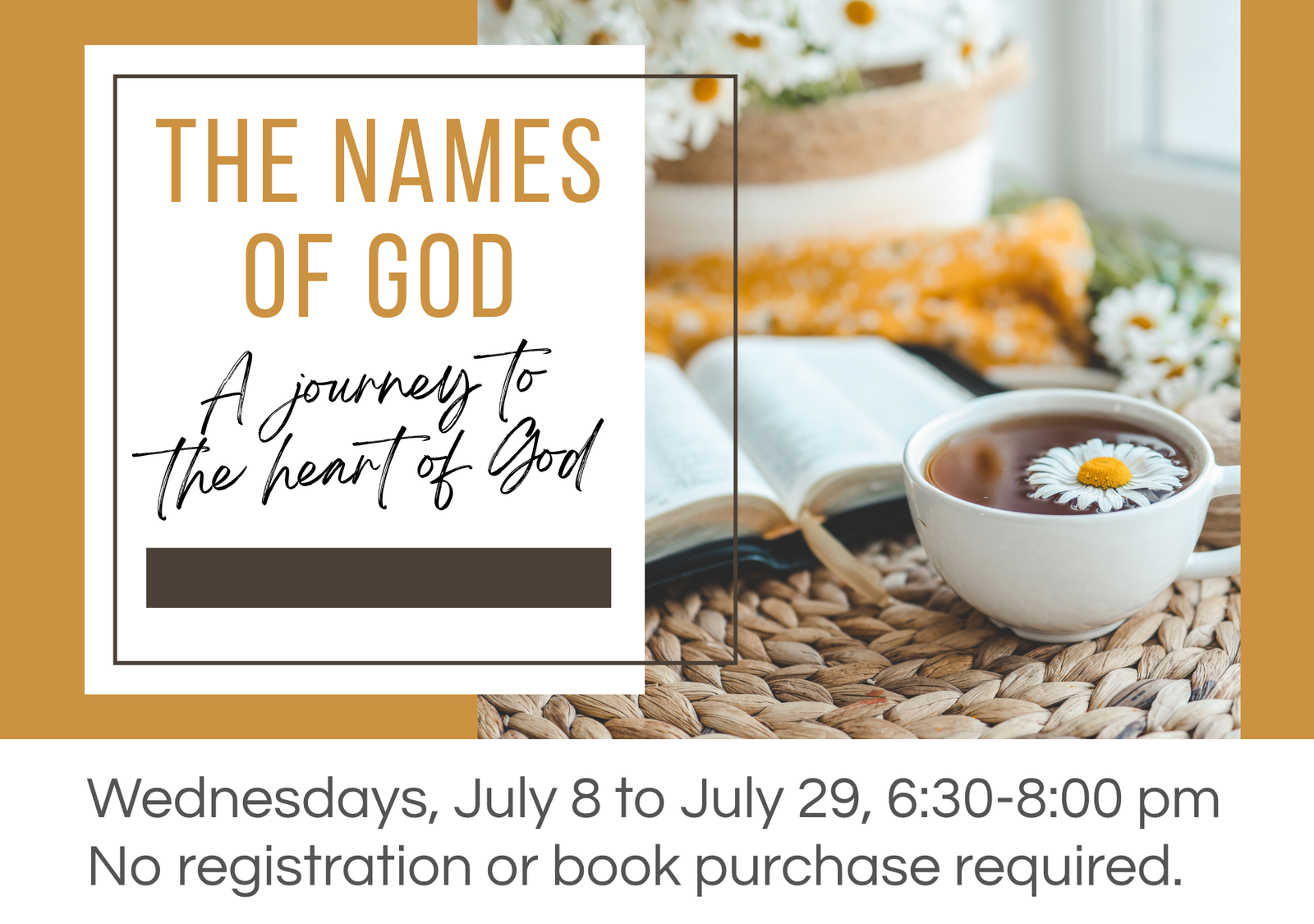Women's Bible Study