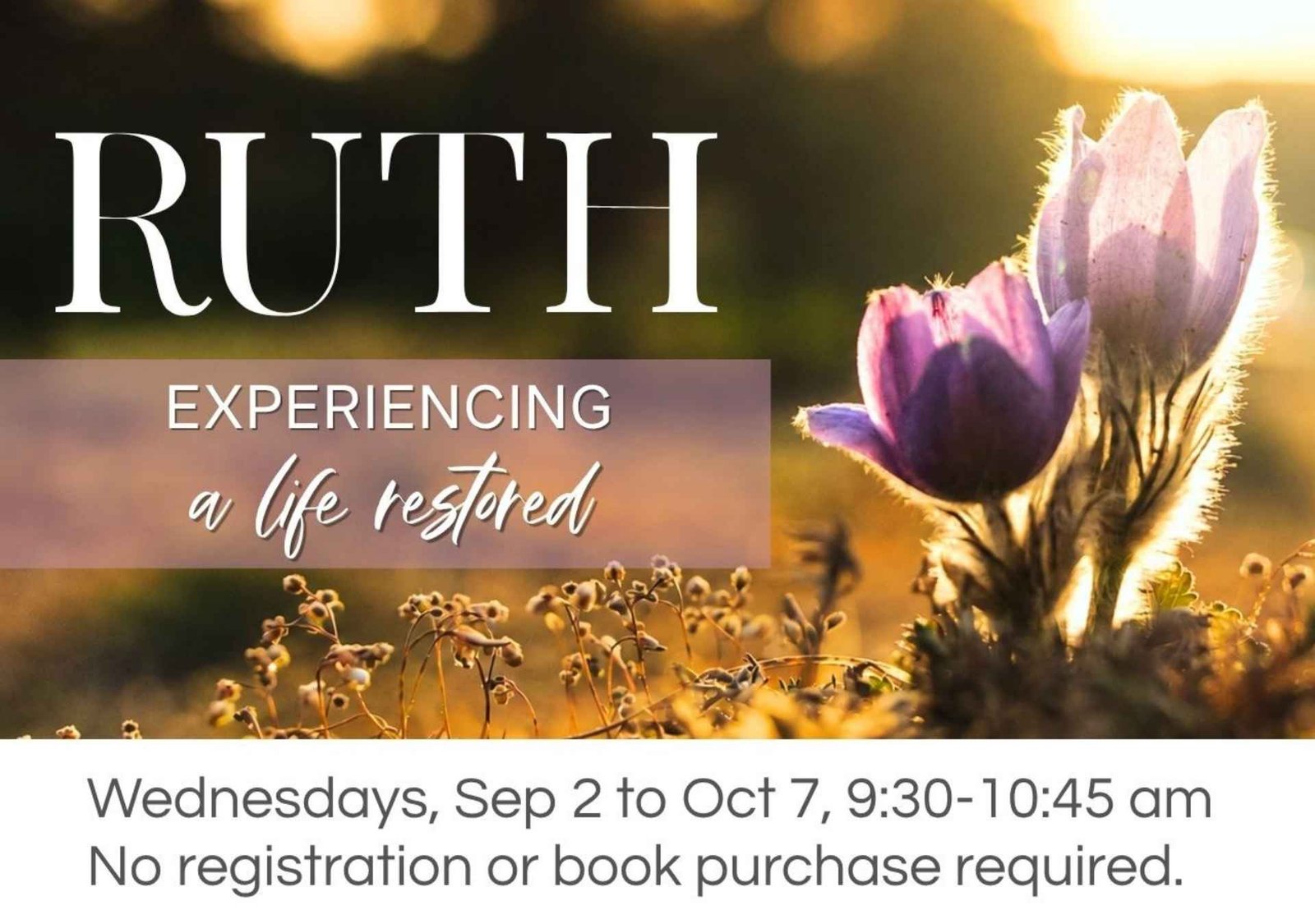 Women's Bible Study